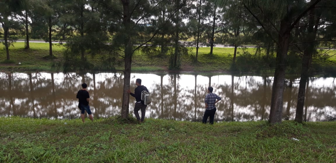 Hutan Pinus Bekasi - Surga yang Tersembunyi