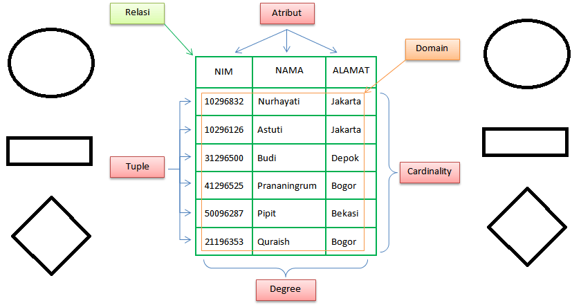jenis atribut basis data
