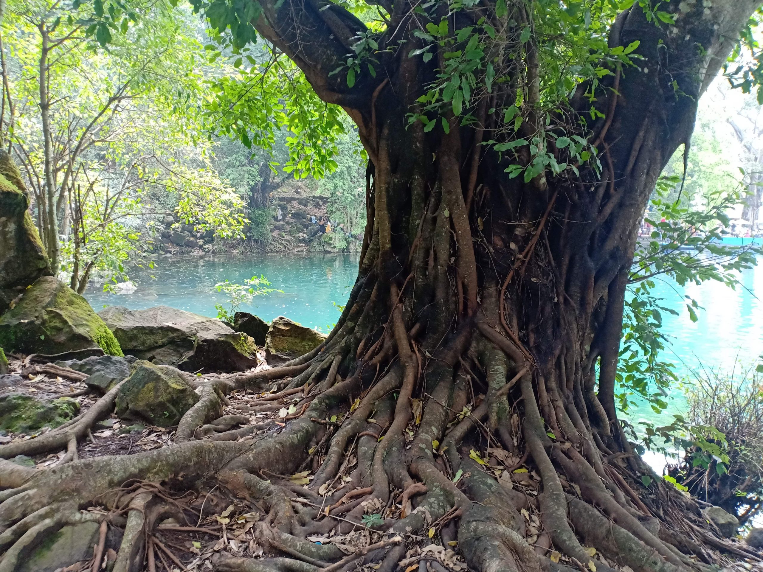Telaga Biru - Situ Cicerem